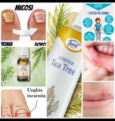 Crema tea tree just dermatiti - tree,
